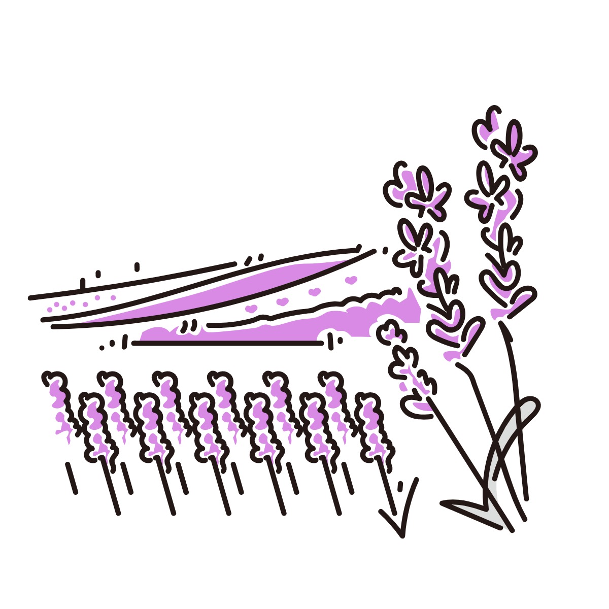 自然風景の画像