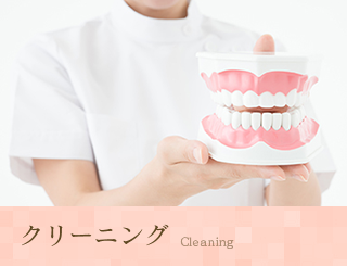 診療コースの画像